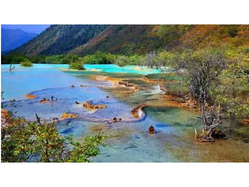 色彩对比