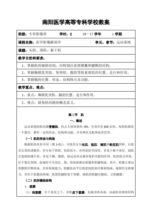 11头肌颈肌躯干肌解读