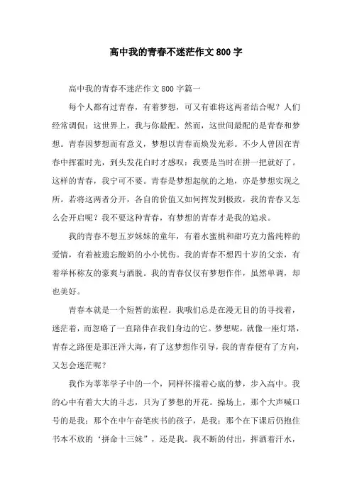 高中我的青春不迷茫作文800字