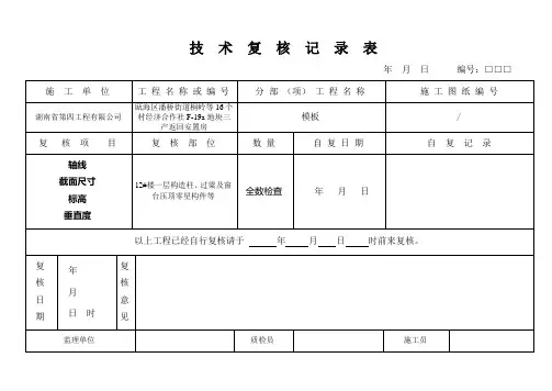技术复核记录表(模板)3