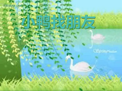 小鸭找朋友课件