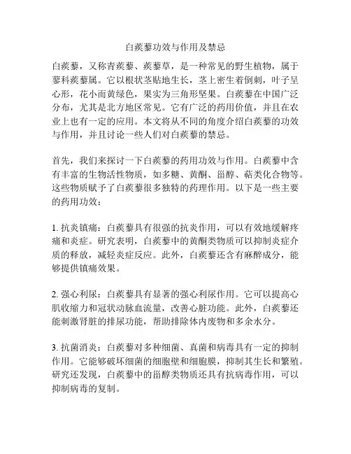 白蒺藜功效与作用及禁忌