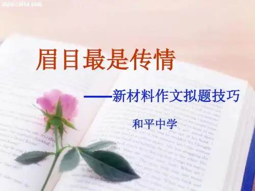 眉目最是传情材料作文拟题