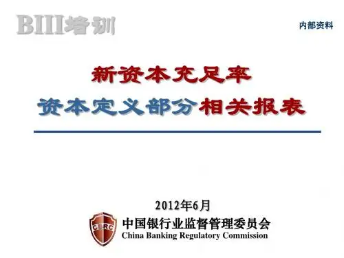 BIII_每月一讲_资本定义部分