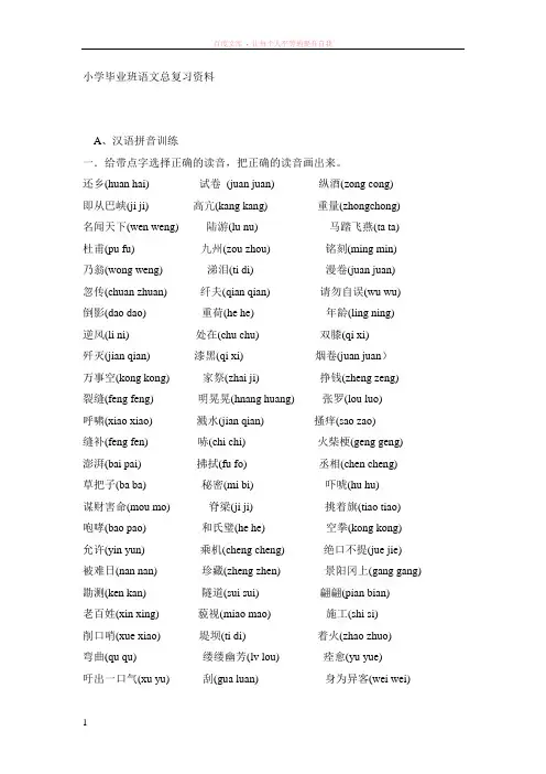 小学毕业班语文总复习资料