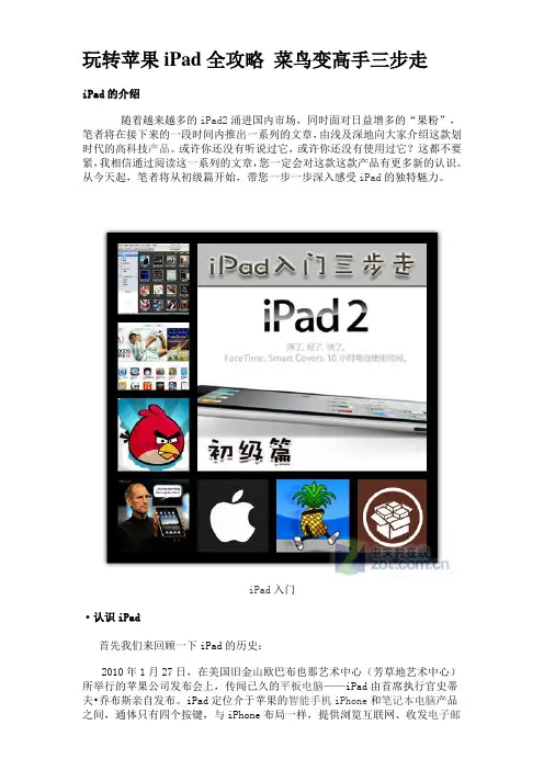 玩转苹果iPad全攻略 菜鸟变高手三步走