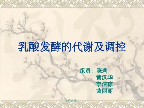 乳酸发酵的代谢及ppt课件