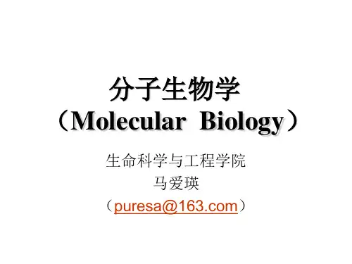 分子生物学第一章绪论资料