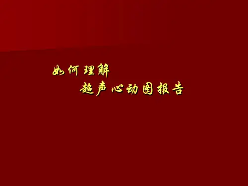 如何解读超声心动图 ppt课件