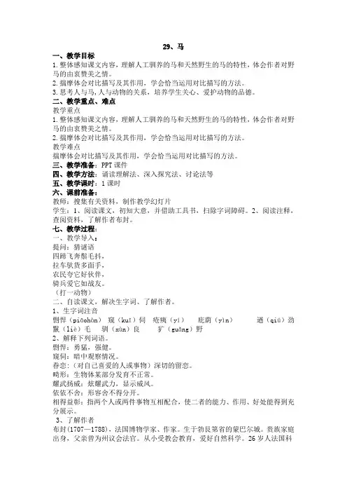 29 马