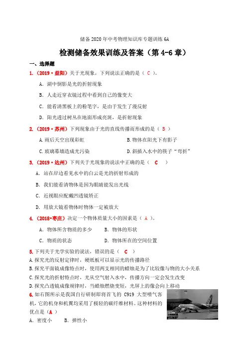储备2020年中考物理知识库专题训练6A 检测储备效果训练及答案(第4-6章)