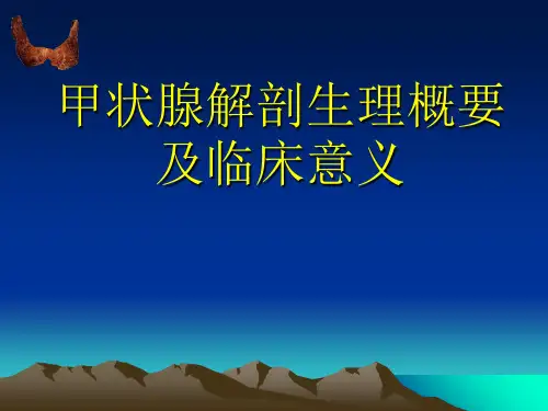 甲状腺解剖生理概要及临床意义