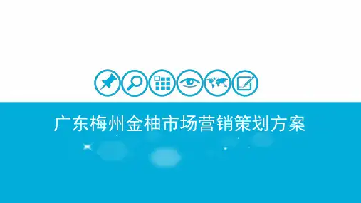 柚子策划方案总结