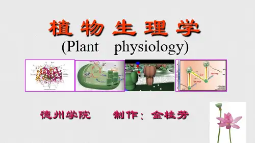 《植物生理学》PPT课件