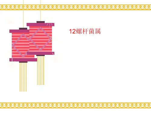 12螺讲义杆菌属