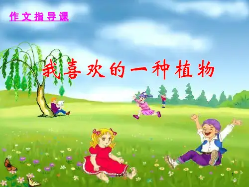 作文(写植物)  ppt课件