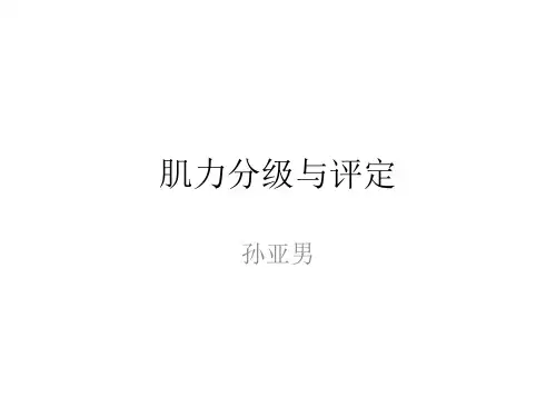 肌力分级与评定