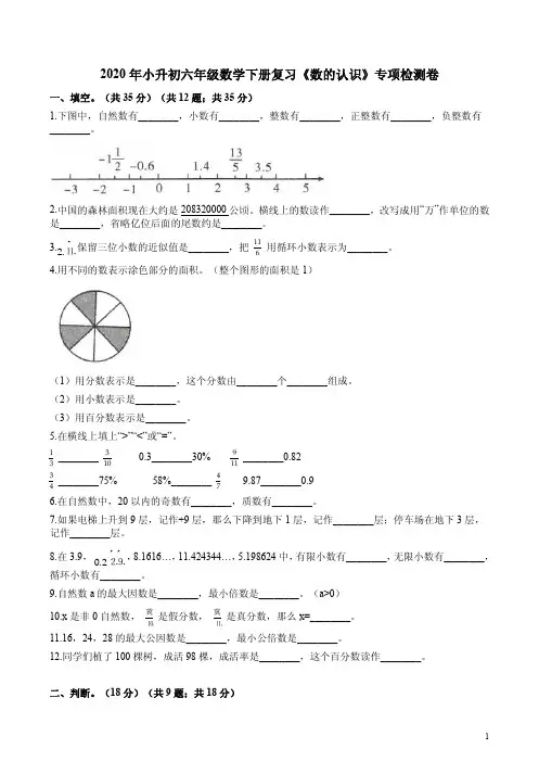 人教版2020年小升初六年级数学下册复习《数的认识》专项检测卷附答案解析