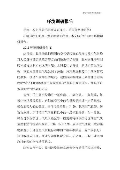 环境调研报告