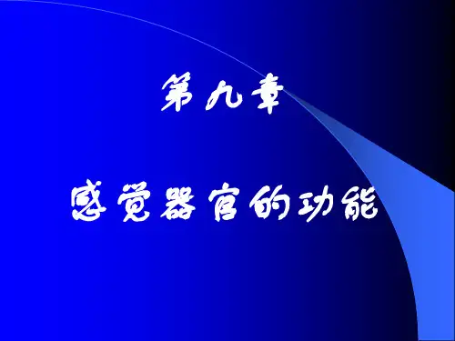 感觉器官精品PPT课件