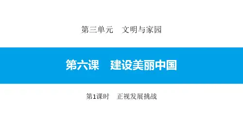 《建设美丽中国》文明与家园PPT课件(第1课时正视发展挑战)