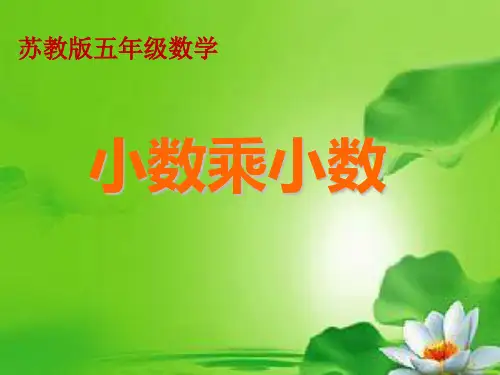 苏教版数学五年级上册 五 小数乘法和除法-小数乘小数 课件
