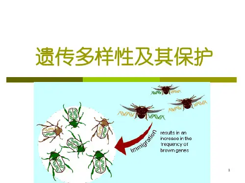 保护生物学 - 05遗传多样性及保护.