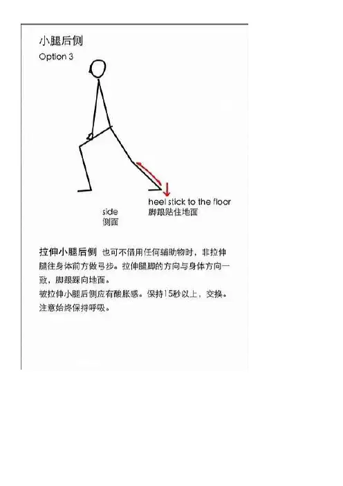腿部拉伸运动——图