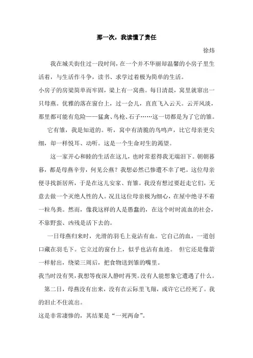 最新作文：那一次,我读懂了责任