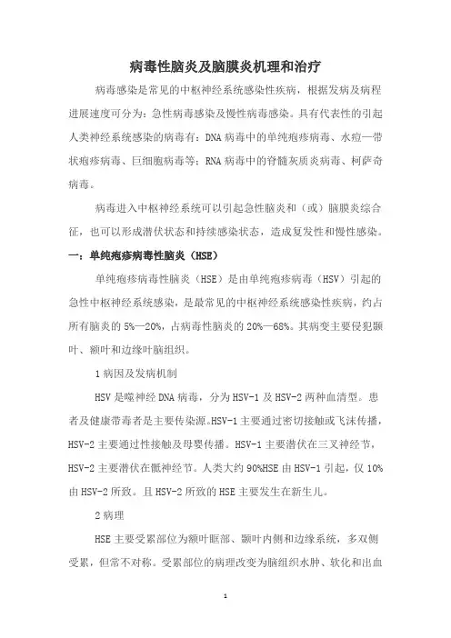 病毒性脑炎及脑膜炎机理和治疗