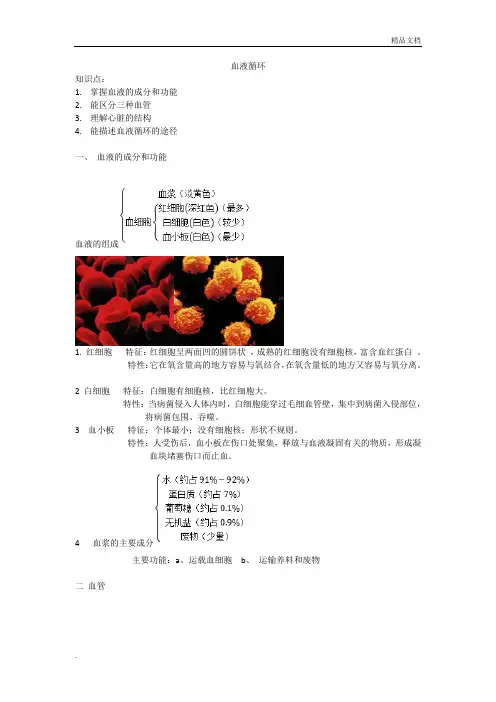 血液循环生物知识点