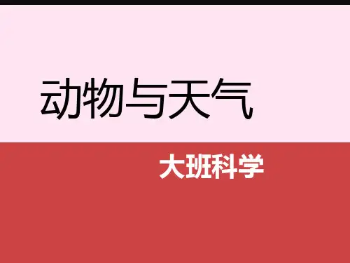 科学《动物与天气》PPT课件