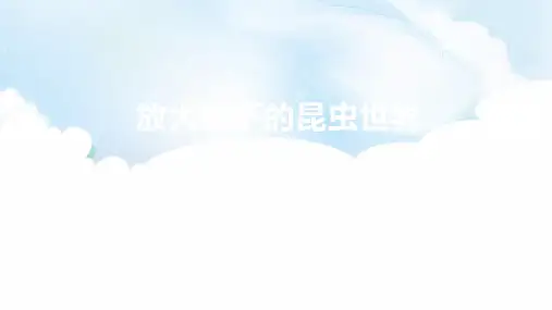 六年级科学下册_2放大镜下的昆虫世界教科版ppt(19张)标准课件
