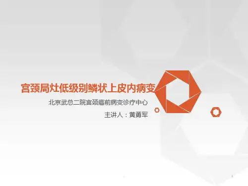 宫颈局灶低级别鳞状上皮内病变PPT课件