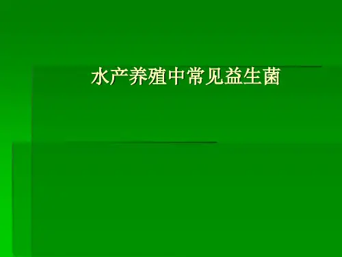 反硝化细菌