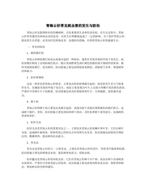 青海云杉常见病虫害的发生与防治 2