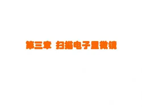 扫描电子显微镜(SEM)