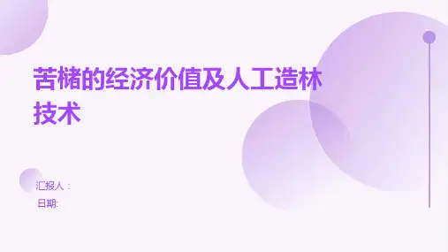苦槠的经济价值及人工造林技术