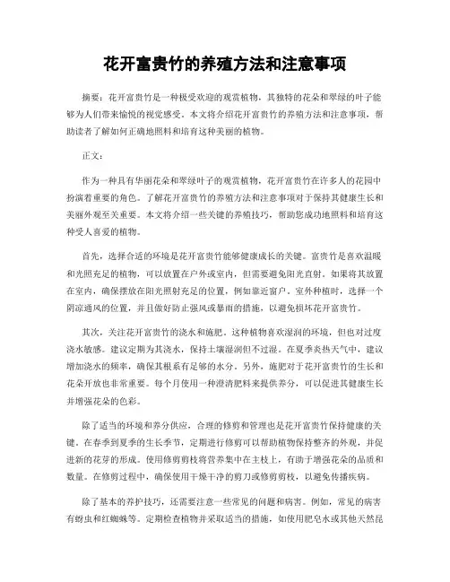 花开富贵竹的养殖方法和注意事项