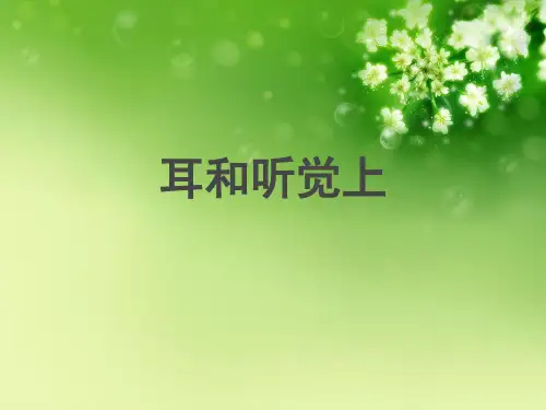 耳和听觉上优秀课件