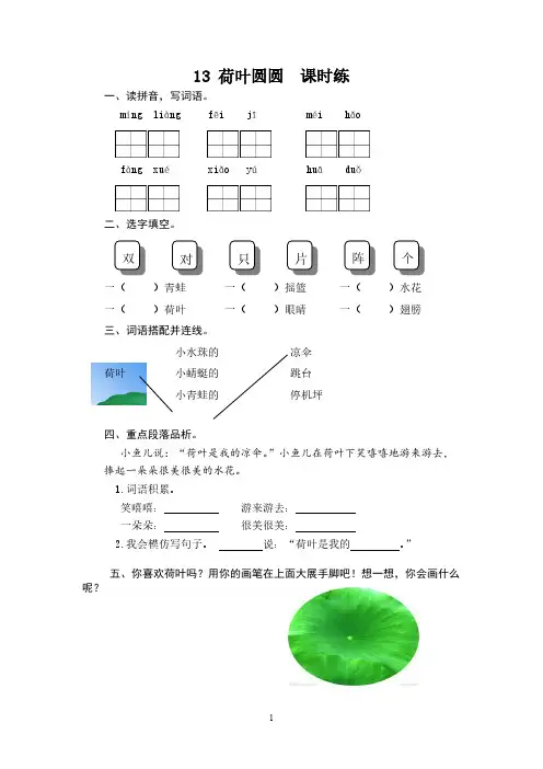 13 荷叶圆圆(经典)