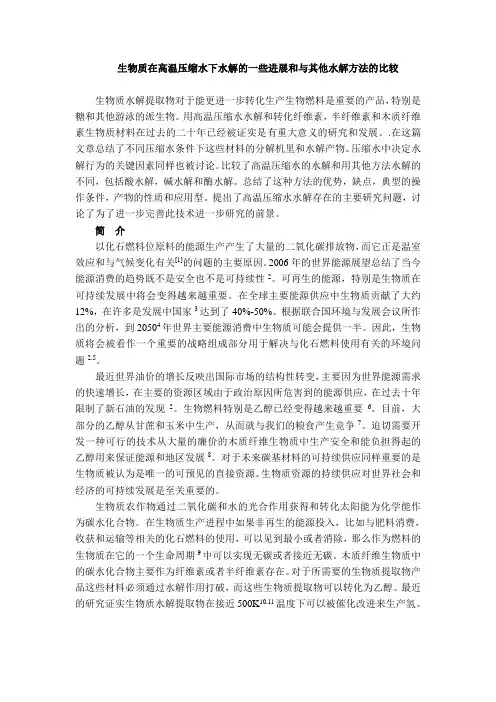 生物质翻译