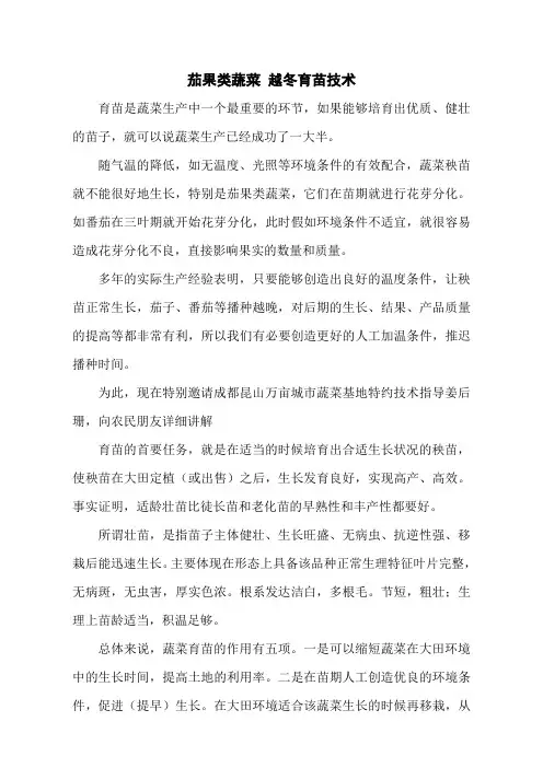 茄果类蔬菜 越冬育苗技术