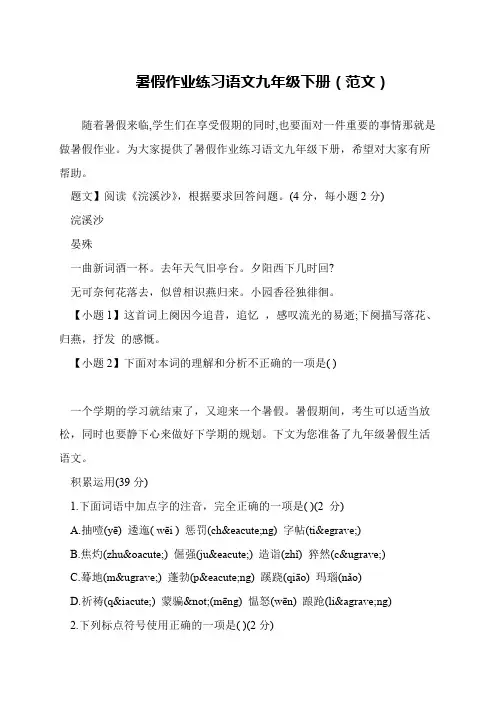 暑假作业练习语文九年级下册(范文)