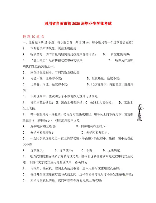 四川省自贡市2020年中考物理真题试题(含答案)