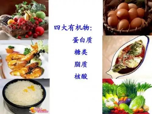 。。。细胞中的糖类和脂质