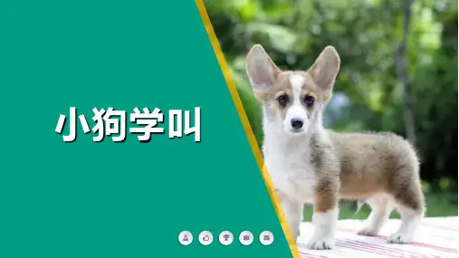 三年级上册 课文14 小狗学叫