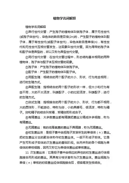 植物学名词解释