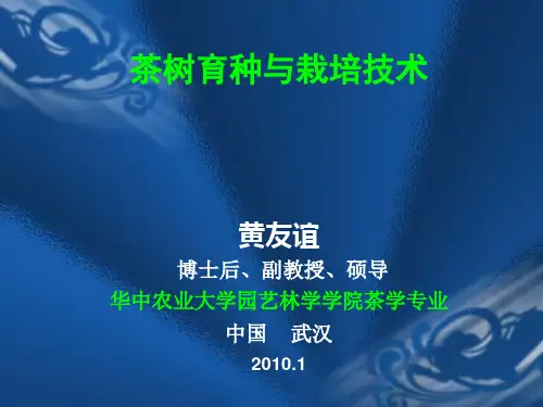 茶树育种与栽技术