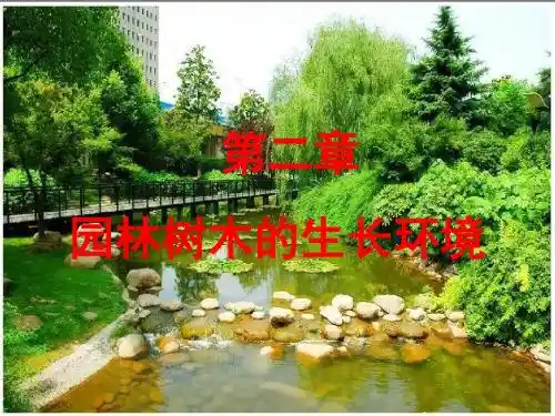 5、第二章 园林树木的生长环境
